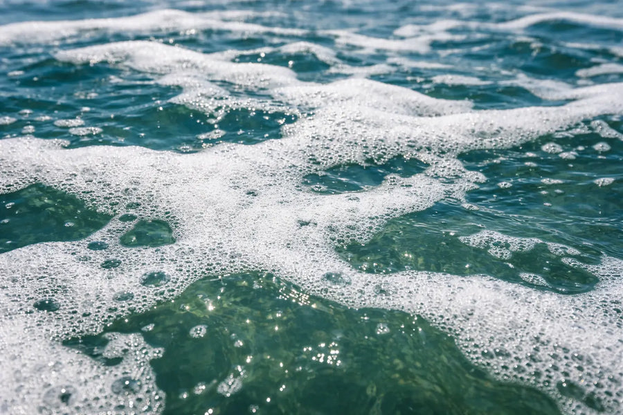 How Many Marine Cleaning Products Are Actually Harmful to Aquatic Life?