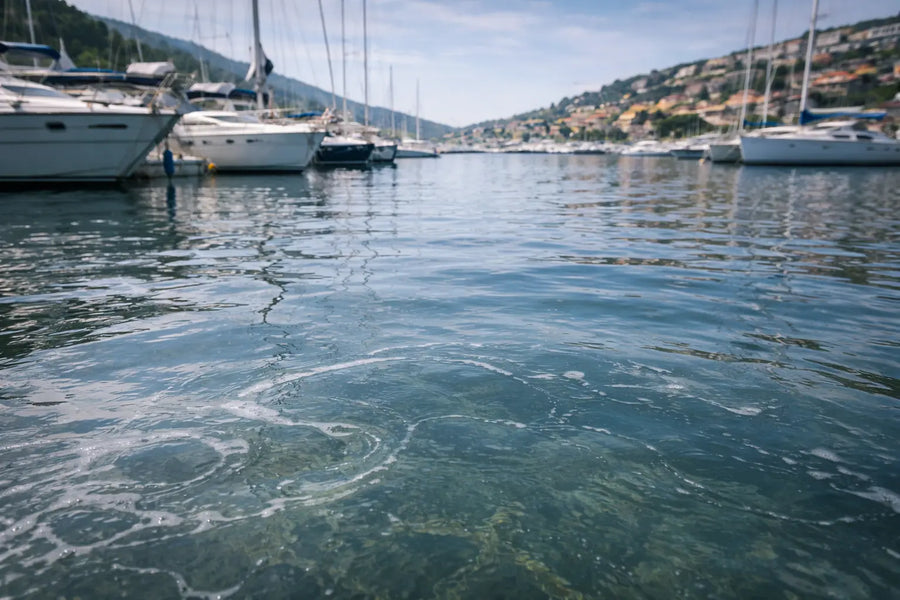 What Really Happens When Cleaning Chemicals Enter Marina Waters?