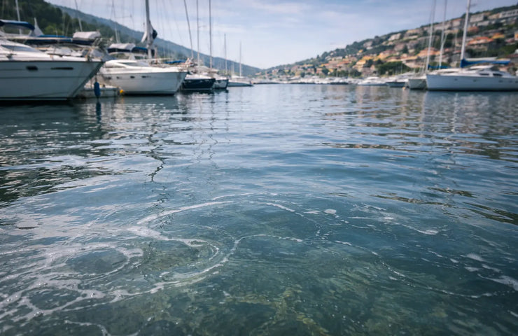 What Really Happens When Cleaning Chemicals Enter Marina Waters?